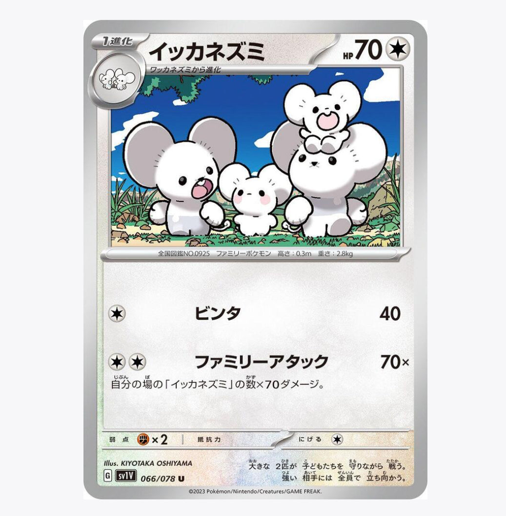 5 card regular Japanese card bundle